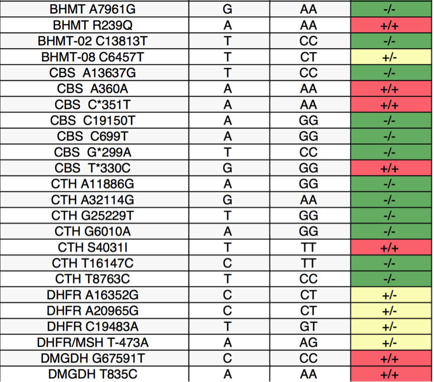 MTHFRSupport genetic report