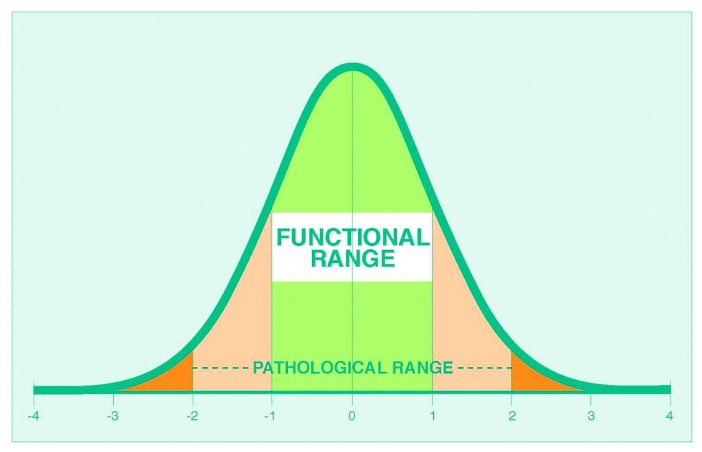 functional-ranges-1024x660